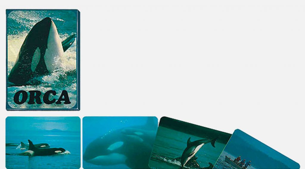 Orca